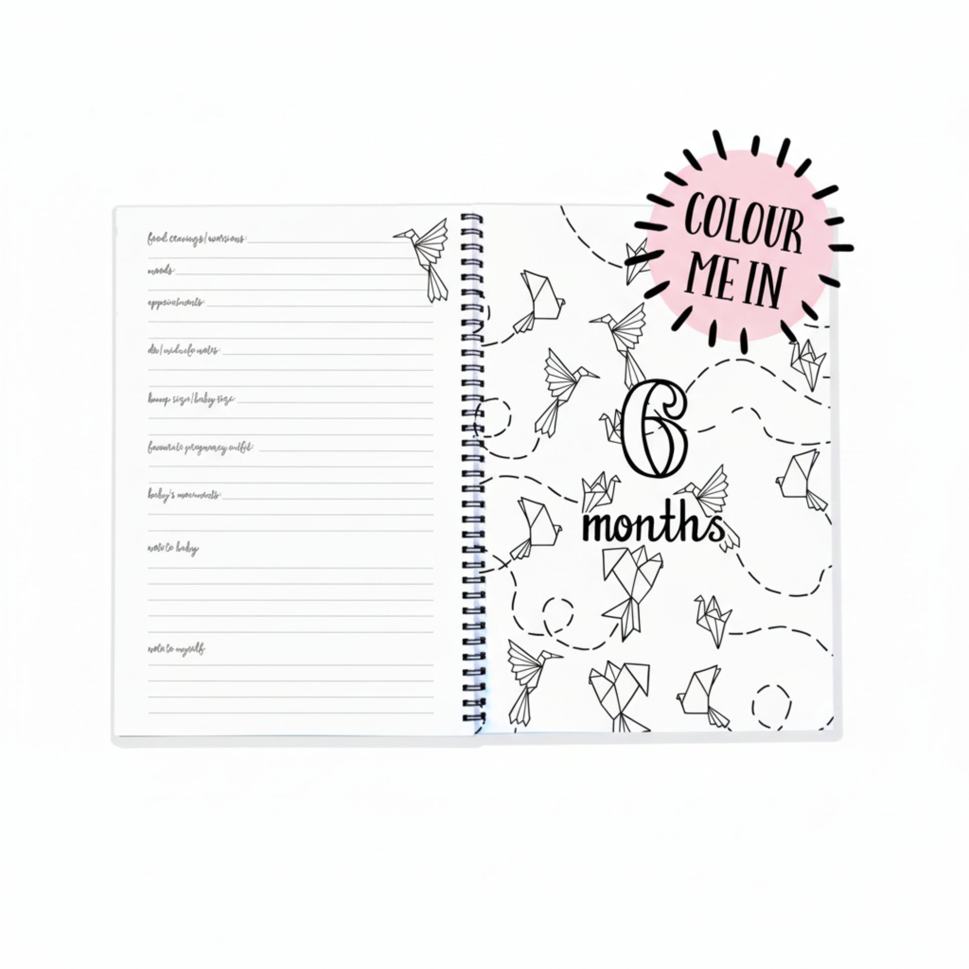 Keepsake Gifts The Monochrome Bump Book Blueberry Co Memory Books 49.95