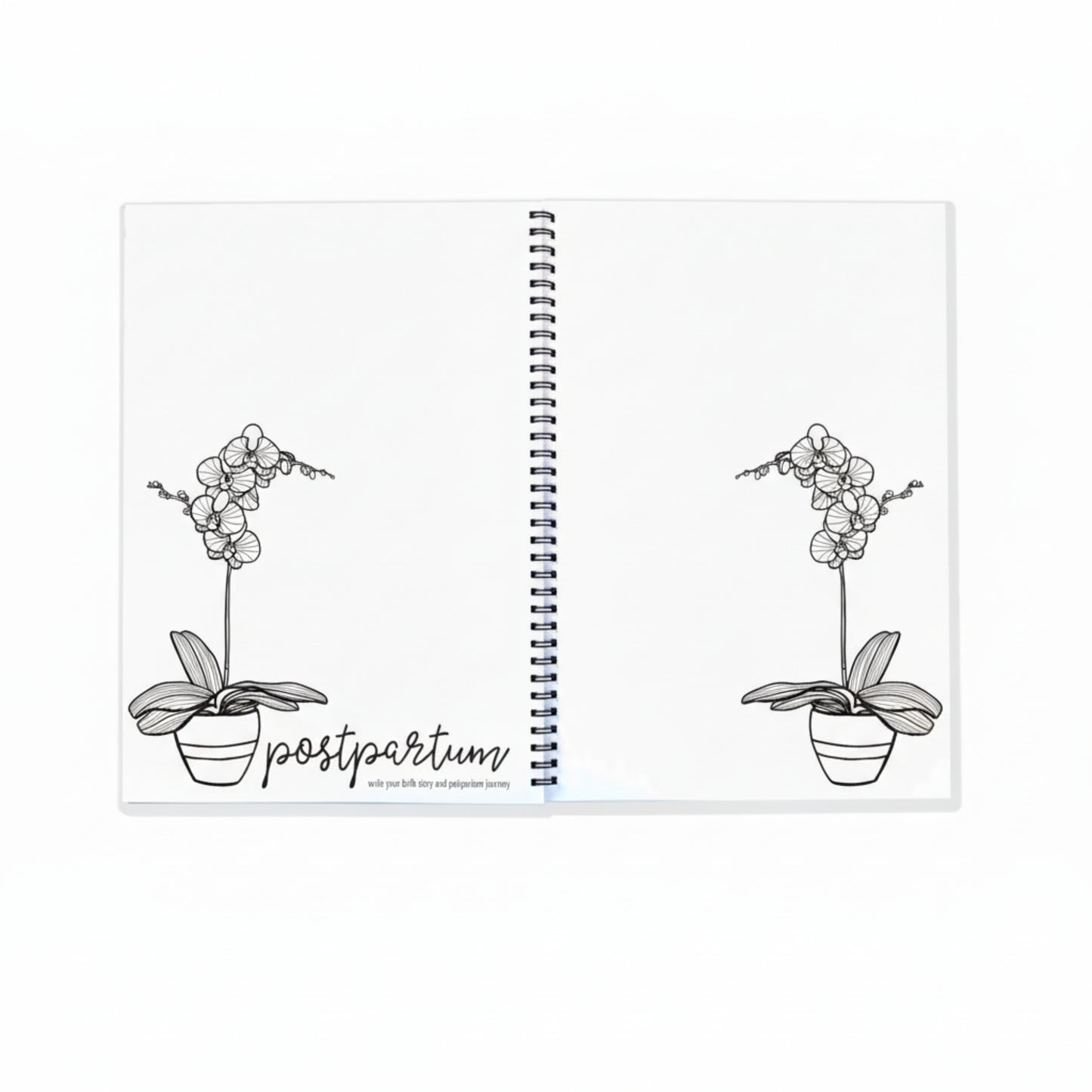 Keepsake Gifts The Monochrome Bump Book Blueberry Co Memory Books 49.95