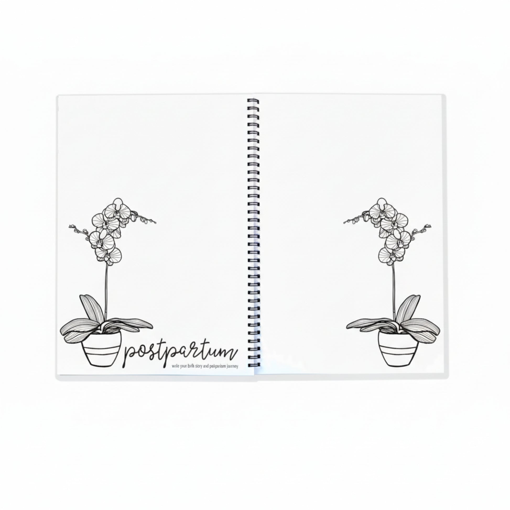 Keepsake Gifts The Monochrome Bump Book Blueberry Co Memory Books 49.95