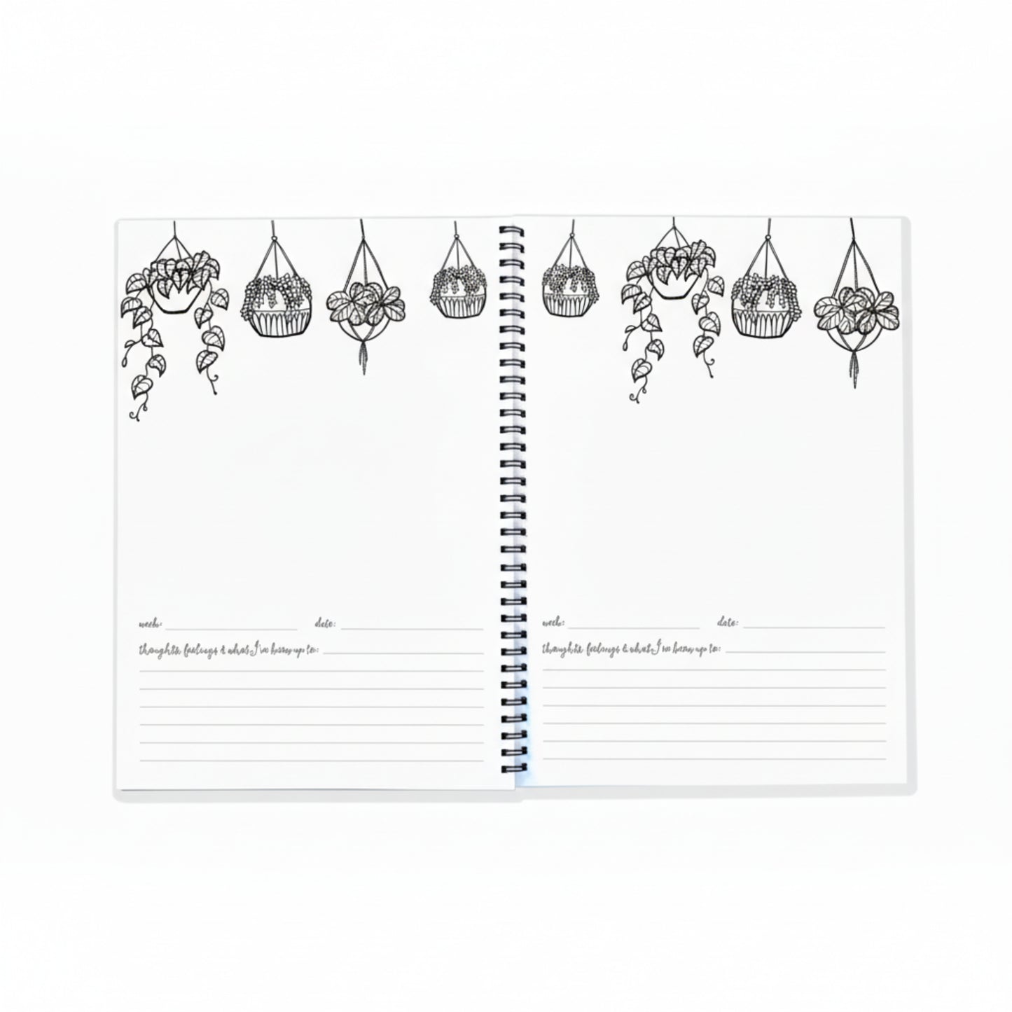 Keepsake Gifts The Monochrome Bump Book Blueberry Co Memory Books 49.95