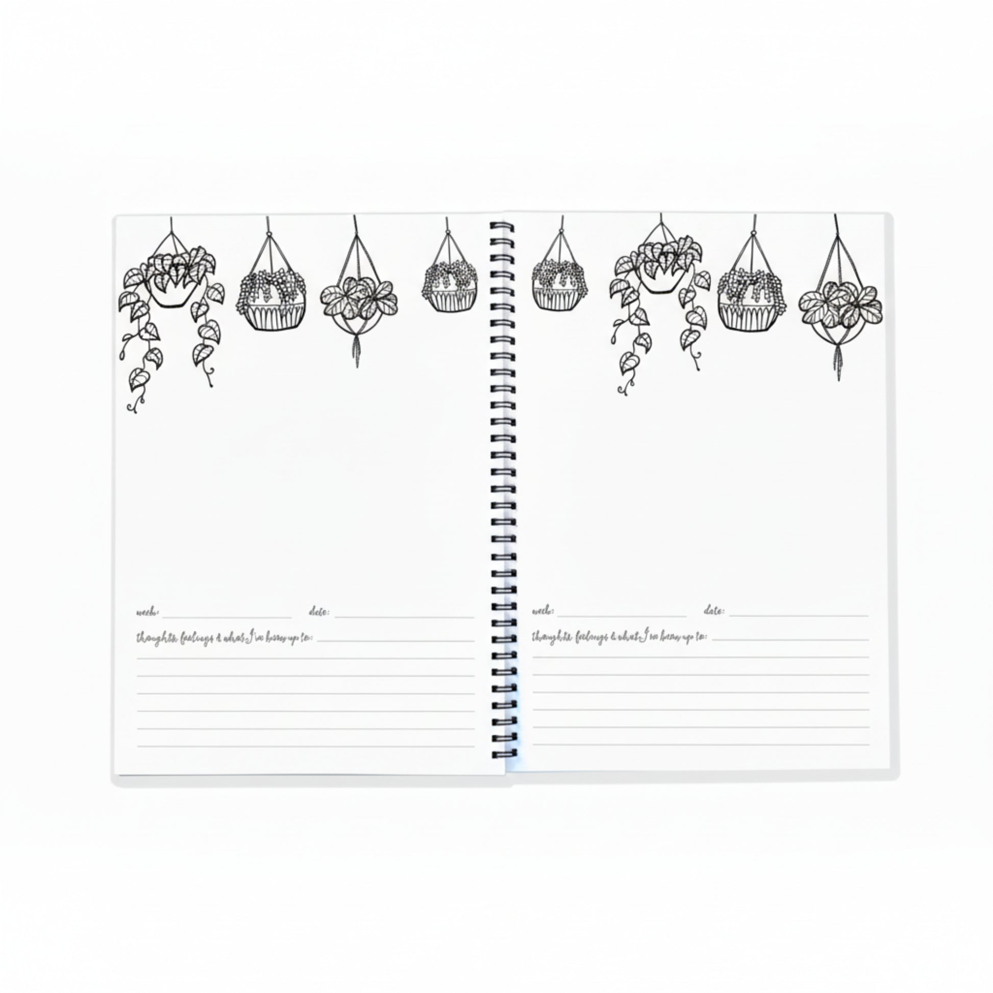 Keepsake Gifts The Monochrome Bump Book Blueberry Co Memory Books 49.95