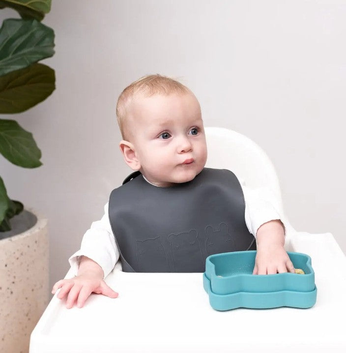 Catchie Bibs - 2 Pack Silicone Baby Bibs - We Might Be Tiny